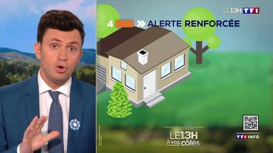 TF1